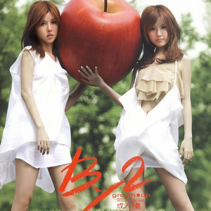 特级西西人体高清大胆的功能介绍
