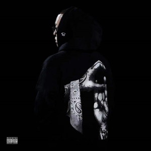 特级西西人体高清大胆的功能介绍
