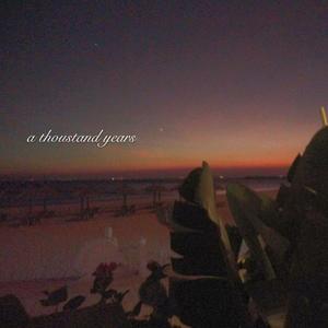 特级西西人体高清大胆的功能介绍
